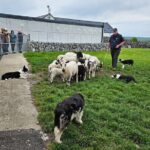 Private Day Trip to the Cliffs of Moher from Dublin - What Makes This Tour Stand Out