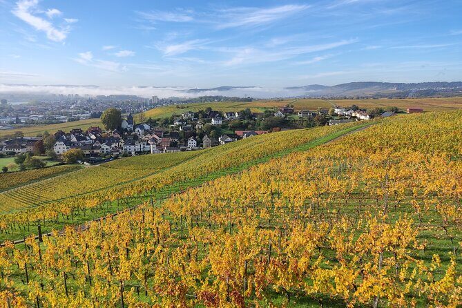 Private day trip to the Romantic Rhine Valley with river cruise and wine tasting - FAQ