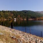 Private Day Trip to the Vitosha Mountain and Pancharevo Lake - Who Is This Tour Best For?