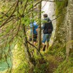 Private Daytrip Hike to Bucegi Mountains - A Closer Look at the Bucegi Mountains Private Hike
