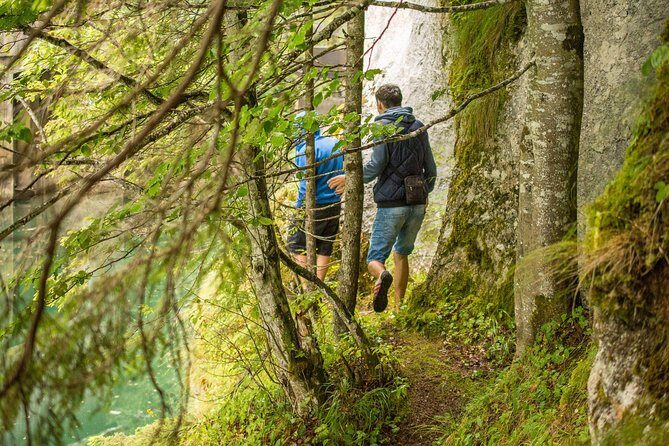 Private Daytrip Hike to Bucegi Mountains - A Closer Look at the Bucegi Mountains Private Hike
