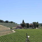 Private daytrip to Siena & Chianti wine country, with wine tasting from Florence - Price and Value: Is it Worth it?