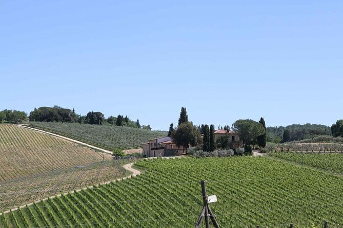 Private daytrip to Siena & Chianti wine country, with wine tasting from Florence - Price and Value: Is it Worth it?