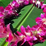 Private Departure Transfer: Big Island Hotels to Kona International Airport - A Closer Look at the Private Departure Service on the Big Island