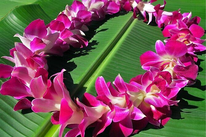 Private Departure Transfer: Big Island Hotels to Kona International Airport - A Closer Look at the Private Departure Service on the Big Island