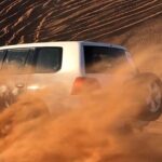 Private Desert Safari Tour in Dubai - What’s Not Included?