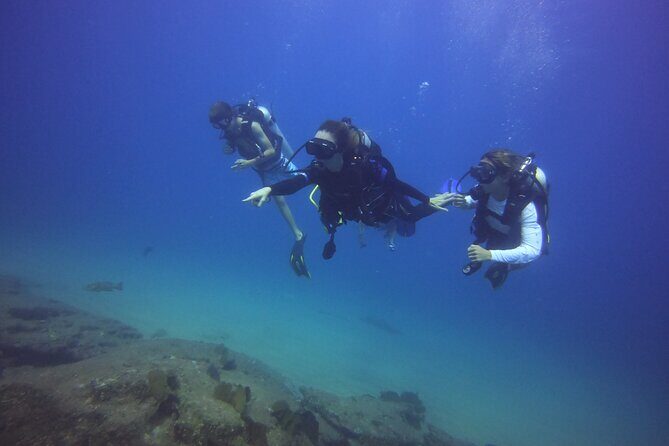 Private Dive Boat for Certified Divers - Cabo San Lucas - Authentic Insights from Travelers