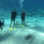 Private Diving Cyprus Experience Protaras and Ayia Napa & Turtles - The Main Event: The Underwater Experience