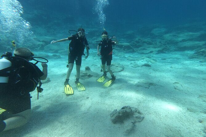 Private Diving Cyprus Experience Protaras and Ayia Napa & Turtles - The Main Event: The Underwater Experience