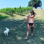 Private Dog Friendly Wine Tour with your Local Guide - Authentic Experiences and Hidden Gems