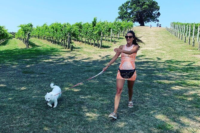 Private Dog Friendly Wine Tour with your Local Guide - Authentic Experiences and Hidden Gems