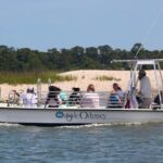 Private Dolphin and Nature Tour of Hilton Head - Who Is This Tour Best Suited For?