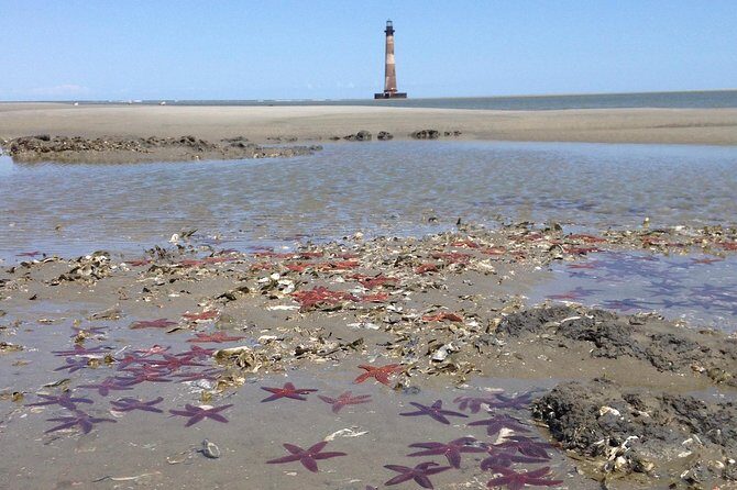 Private Dolphin Watch, Lighthouse and Ecological Boat Tours - Practical Tips for Booking