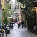 Private door to door transfer from Caserta to Naples - Why Choose This Transfer?