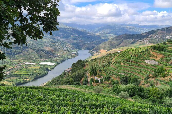 Private Douro Valley Tour (2 wineries + boat) - Who Should Consider This Tour?