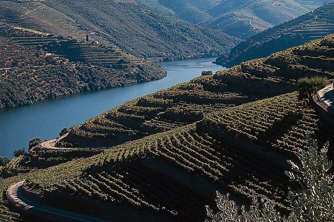 Private Douro Valley Tour Includes Wine Tasting and Boat Tour - Who Will Love This Tour?