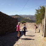 Private Douro Wine Experience - Full Day in the Douro Valley - FAQs