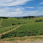 Private driver Florence Wine Tour countryside of Tuscany 7 hours - Final Thoughts