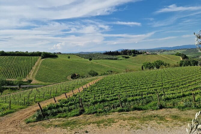 Private driver Florence Wine Tour countryside of Tuscany 7 hours - Final Thoughts