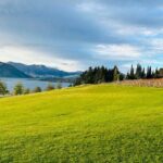 Private Driver Hire  Full-Day Touring Anywhere in New Zealand - Who Should Consider This Tour?