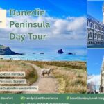 Private Dunedin & Otago Peninsula Day Tour Up to 4 - Final Thoughts