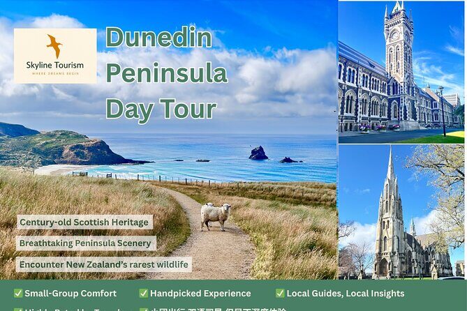 Private Dunedin & Otago Peninsula Day Tour Up to 4 - Final Thoughts