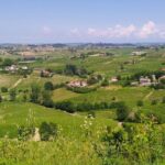 Private E-bike Tour "Monferrato di Canelli" - Asphalt only - Final Thoughts