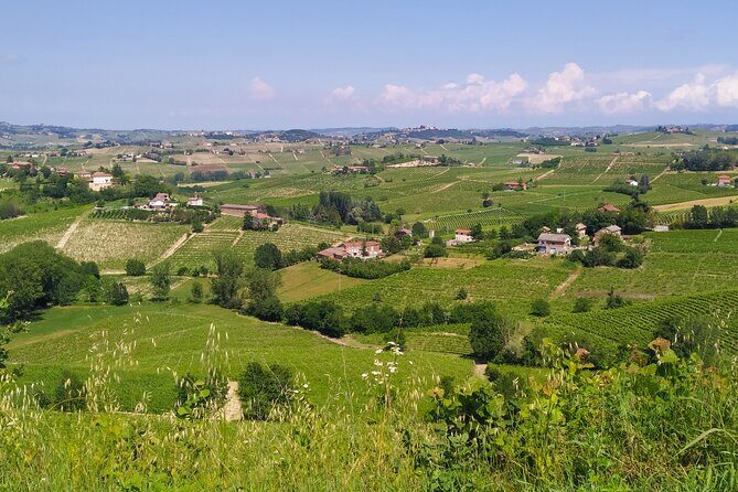 Private E-bike Tour "Monferrato di Canelli" - Asphalt only - Final Thoughts