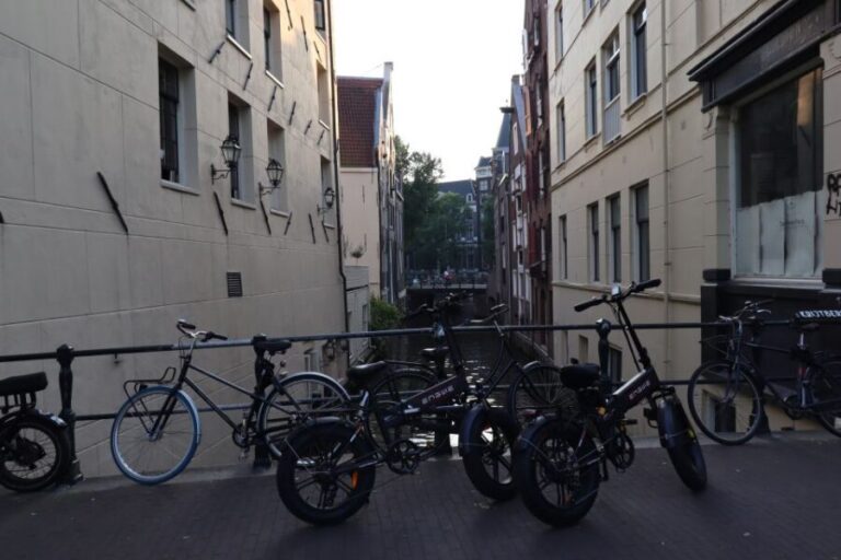 Private E-bike tour of Amsterdam - From Countryside to City: The Ferry Ride and NDSM Area