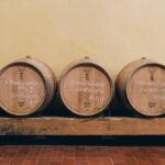 Private Ebike Tour in Chianti - The Experience: What You Can Expect