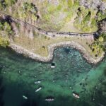 Private Eco Tour in Kings Bay Crystal River Florida - Final Thoughts