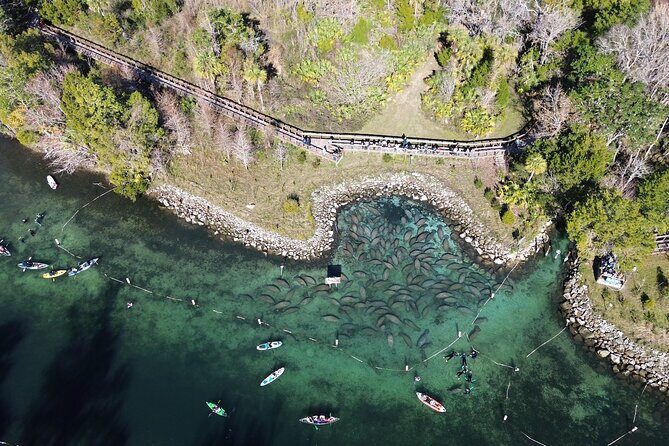 Private Eco Tour in Kings Bay Crystal River Florida - Final Thoughts