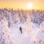 Private Electric Fat Bike Winter Tour in Rovaniemi - A Closer Look at the Tour Experience