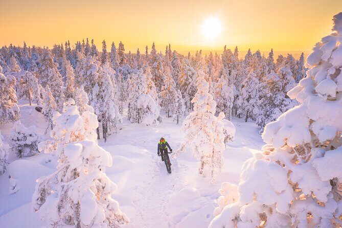 Private Electric Fat Bike Winter Tour in Rovaniemi - A Closer Look at the Tour Experience