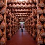 Private Emilia Romagna Food Tour Full Day - Who Will Love This Tour?