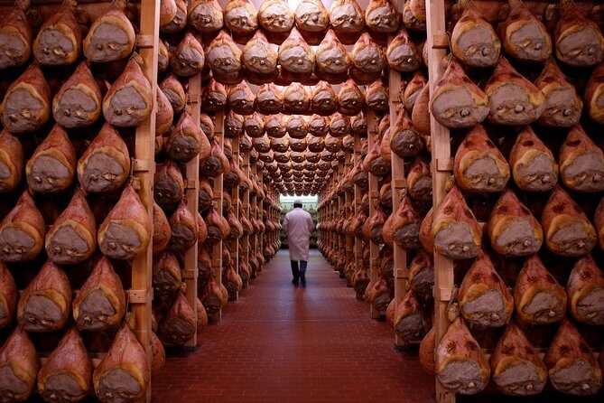 Private Emilia Romagna Food Tour Full Day - Who Will Love This Tour?