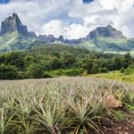 Private EN photo tour in Moorea, tour & workshop class - Who Is This Tour Best For?
