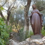 Private Ephesus Bible Study Tour From Kusadasi Cruisers Only - Final Thoughts: Who Is This Tour For?