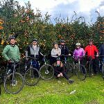 Private Ephesus Tour & Cycling Through Vineyards - Exploring Ephesus and Beyond: A Detailed Look at the Tour