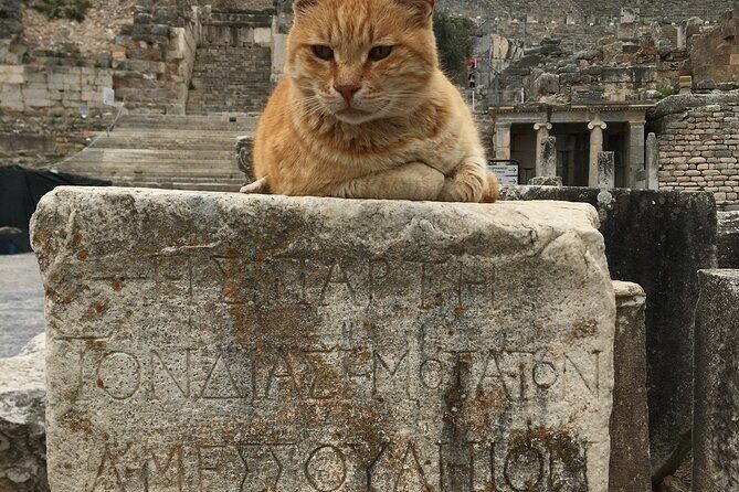 Private Ephesus Tour from zmir Çeme Port and Hotels - Practical Details and What You Can Expect
