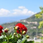 Private Etna tour with lunch in traditional "Trattoria" with organic food - Exploring the Etna Landscape and Villages