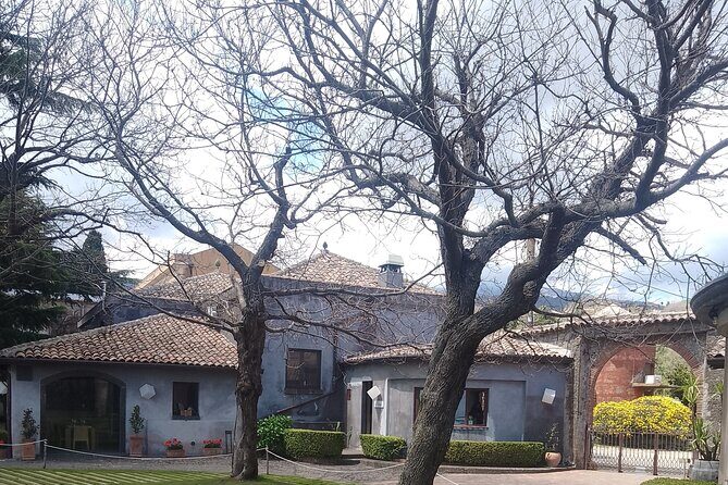 Private Etna tour with wine tasting and lunch - FAQ