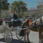 Private Evening Carriage Tour Charleston - Palmetto Carriage - A Deep Dive into the Private Carriage Tour Experience