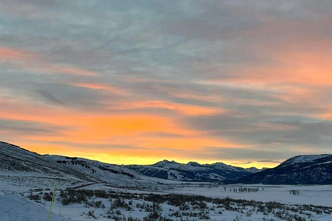 Private Evening/Sunset Wildlife Encounter Tour - The Benefits of Going Sunset in Yellowstone