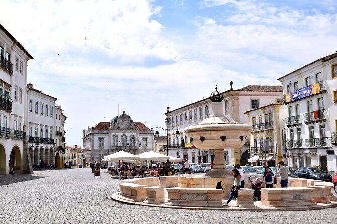 Private Évora Tour With Wine Experience and Wine Tasting - Who Will Love This Tour?