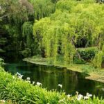 Private Excursion: Scenic and Seascape Delights from Picton - Art, Gardens, and Local Delights
