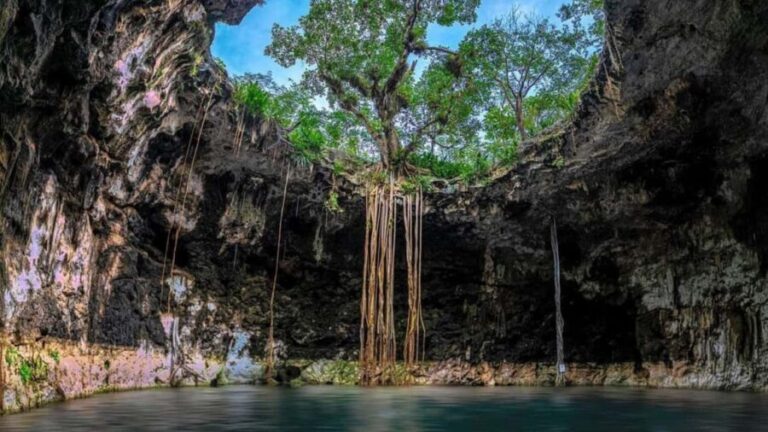 Private Excursion to Cenote Santa Barbara Homun with Transportation - Visiting the Three Cenotes