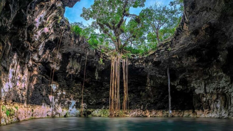 Private Excursion to Cenote Santa Barbara Homun with Transportation