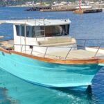 Private excursion to the island of Ischia with Gozzo Cilento 12m - Frequently Asked Questions (FAQs)