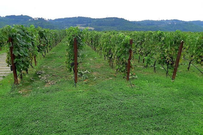 PRIVATE EXCURSION: Visit Siena & Chianti with lunch and tastings - The Practical Side: What Travelers Need to Know
